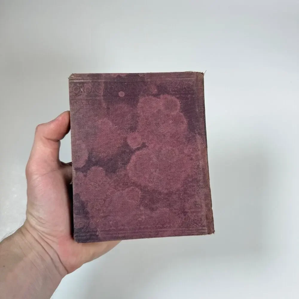 The Mother Story By A Hofmann 1888 Antique book German Language
